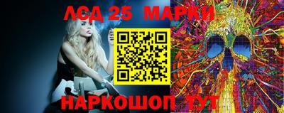 альфа пвп Аргун